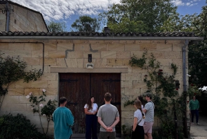 Explora Saint-Émilion em e-Bikes: Excursão em pequenos grupos, excursão de meio dia