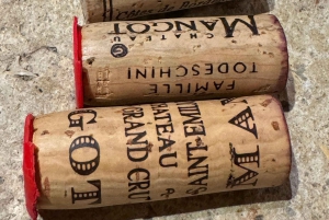 Explora Saint-Émilion em e-Bikes: Excursão em pequenos grupos, excursão de meio dia