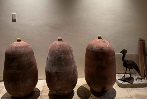 Explora Saint-Émilion em e-Bikes: Excursão em pequenos grupos, excursão de meio dia