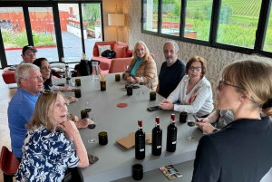 Explora Saint-Émilion em e-Bikes: Excursão em pequenos grupos, excursão de meio dia