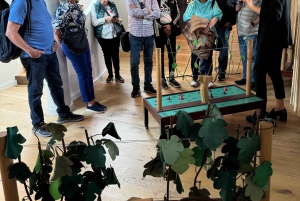 Explora Saint-Émilion em e-Bikes: Excursão em pequenos grupos, excursão de meio dia