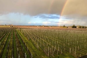 Bordeaux'sta: Bordeaux: Päivä Medociin ja Saint-Emilioniin tutustumiseen.
