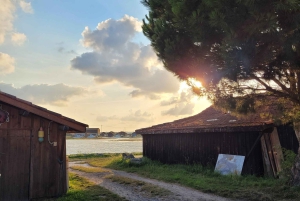 Desde Burdeos: Excursión Privada Duna del Pilat, Bahía de Arcachon y Pueblo de las Ostras