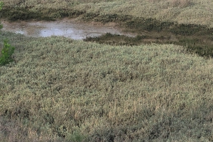 Desde Burdeos: Excursión Privada Duna del Pilat, Bahía de Arcachon y Pueblo de las Ostras