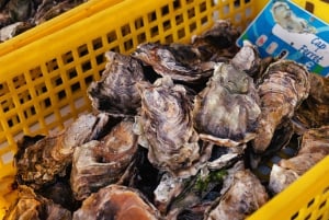From Bordeaux: Arcachon Bay Full Day Tour and Oyster Lunch
