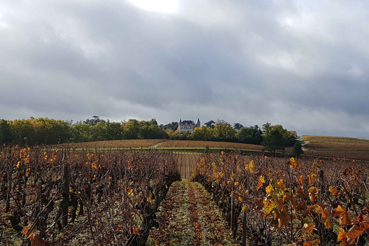From Bordeaux: Breakfast & Wine Morning Tour in Medoc