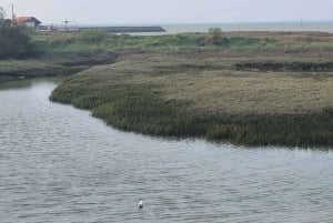 From Bordeaux: Cap Ferret Peninsula Private Tour, Ocean and Oyster Village