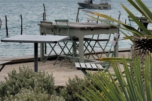 From Bordeaux: Cap Ferret Peninsula Private Tour, Ocean and Oyster Village