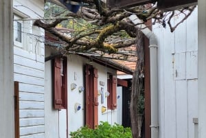 From Bordeaux: Cap Ferret Peninsula Private Tour, Ocean and Oyster Village