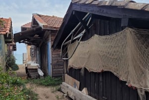 From Bordeaux: Cap Ferret Peninsula Private Tour, Ocean and Oyster Village