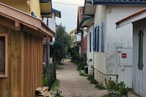 From Bordeaux: Cap Ferret Peninsula Private Tour, Ocean and Oyster Village