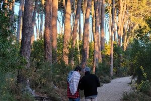 From Bordeaux: Cap Ferret Peninsula Private Tour, Ocean and Oyster Village