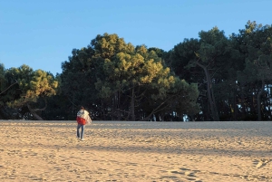 From Bordeaux: Cap Ferret Peninsula Private Tour, Ocean and Oyster Village