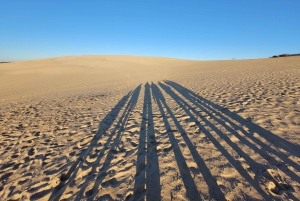 From Bordeaux: Dune du Pilat Sunset Tour with French Picnic