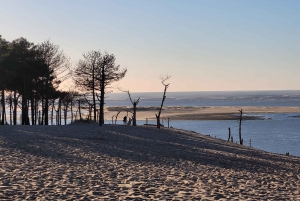 From Bordeaux: Dune du Pilat Sunset Tour with French Picnic