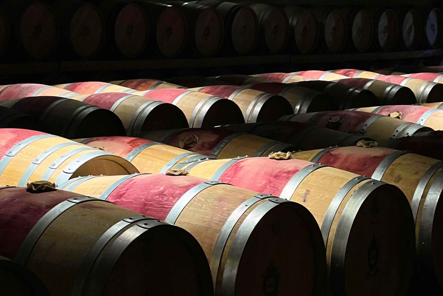 ボルドー発：必見スポットをまわる午前ツアー（ワインの試飲あり）