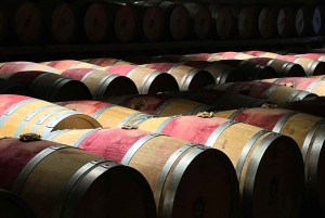 ボルドー発：必見スポットをまわる午前ツアー（ワインの試飲あり）