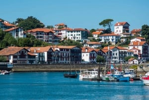 ボルドー発：バスク地方の 1 日プライベート ツアー