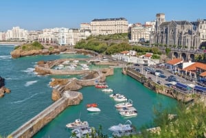 Från Bordeaux: Privat heldagstur till Baskien