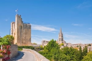 Saint-Émilion: tour di 1 giorno con degustazione di vini da Bordeaux