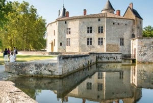 Bordeaux vineyard off the beaten path: 2 wineries & tastings