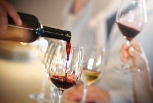 Bordeaux : Vignoble hors des sentiers battus avec dégustation de vins