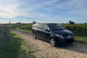 Fra Bordeaux halv dag til Saint-Emilion eller Arcachon i privat van