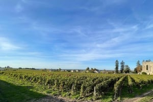 Fra Bordeaux halv dag til Saint-Emilion eller Arcachon i privat van
