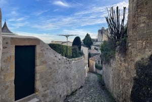 Fra Bordeaux halv dag til Saint-Emilion eller Arcachon i privat van