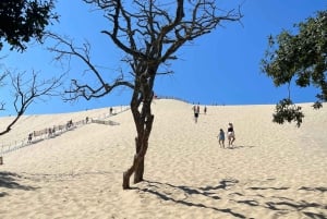 Fra Bordeaux halv dag til Saint-Emilion eller Arcachon i privat van