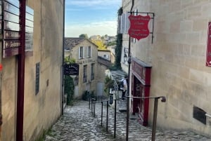 Bordeaux'sta puolipäiväretki Saint-Emilioniin tai Arcachoniin yksityisessä pakettiautossa