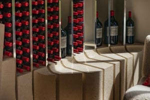 Bordeaux'sta: Puolipäiväinen Saint-Émilionin kierros ja viininmaistelu