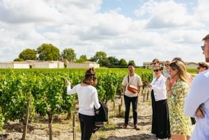 De excursão de meio dia a Saint-Émilion e degustação de vinhos