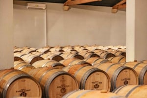 Au départ de Bordeaux : visite d'une demi-journée à Saint-Émilion et dégustation de vins