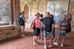 From Bordeaux: Half-Day Saint-Émilion Tour and Wine Tasting