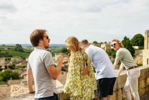 From Bordeaux: Half-Day Saint-Émilion Tour and Wine Tasting