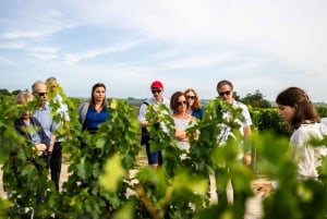 Из Бордо: Поездка на полдня в Сент-Эмильон с посещением Эглиз Монолит.