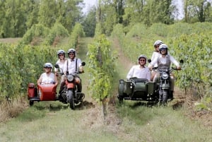 Vanuit Bordeaux: Wijngaard- en kastelentocht Médoc per zijspan