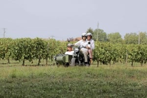 Von Bordeaux aus: Médoc Weinberg- und Schlosstour mit dem Seitenwagen