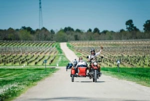 From Bordeaux: Médoc Vineyard and Chateau Tour by Sidecar