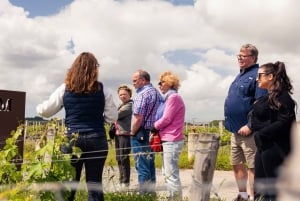 Från Bordeaux: Morgontur till vingårdarna i Medoc med vinprovning