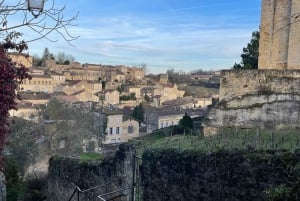 Van Bordeaux naar Saint-Émilion: ontbijt + bezoek + proeverij