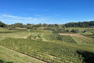 Van Bordeaux naar Saint-Émilion: ontbijt + bezoek + proeverij