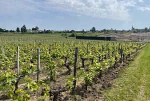 Van Bordeaux naar Saint-Émilion: ontbijt + bezoek + proeverij