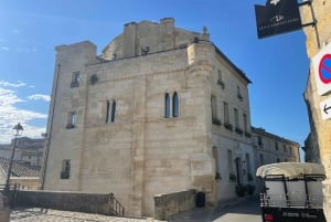 Van Bordeaux naar Saint-Émilion: ontbijt + bezoek + proeverij