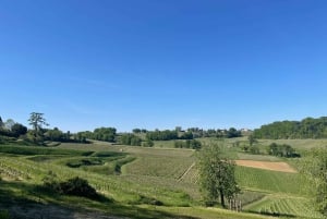 Van Bordeaux naar Saint-Émilion: ontbijt + bezoek + proeverij