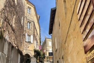 Van Bordeaux naar Saint-Émilion: ontbijt + bezoek + proeverij