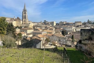 Van Bordeaux naar Saint-Émilion: ontbijt + bezoek + proeverij