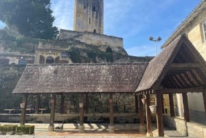 Van Bordeaux naar Saint-Émilion: ontbijt + bezoek + proeverij