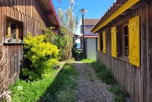 From Bordeaux: Cap Ferret Peninsula Private Tour, Ocean and Oyster Village